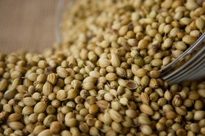 Coriander coriander, coriander seeds, cilantro seeds