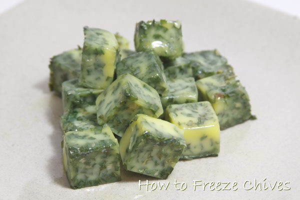 Freezing Herbs How To Freeze Herbs Step By Step