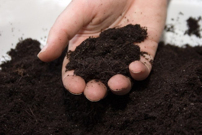 Handful of Potting Soil Potting Soil, Potting Mix