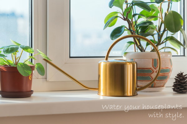 Watering Can on Windowsill with Houseplants indoor watering can