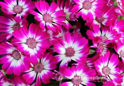 How to get rid of humidity How to get rid of humidity