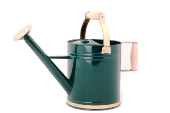 House Plant Care House Plant Care